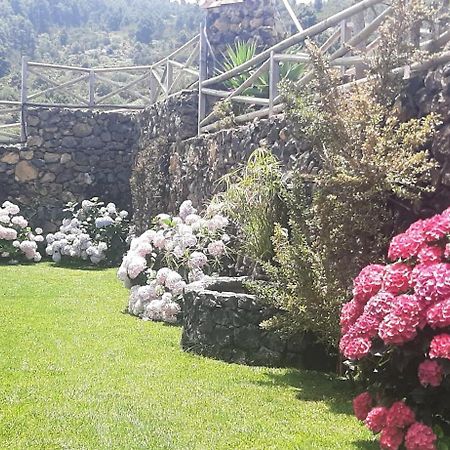 Casas Rurales Los Guinderos Icod De Los Vinos Esterno foto