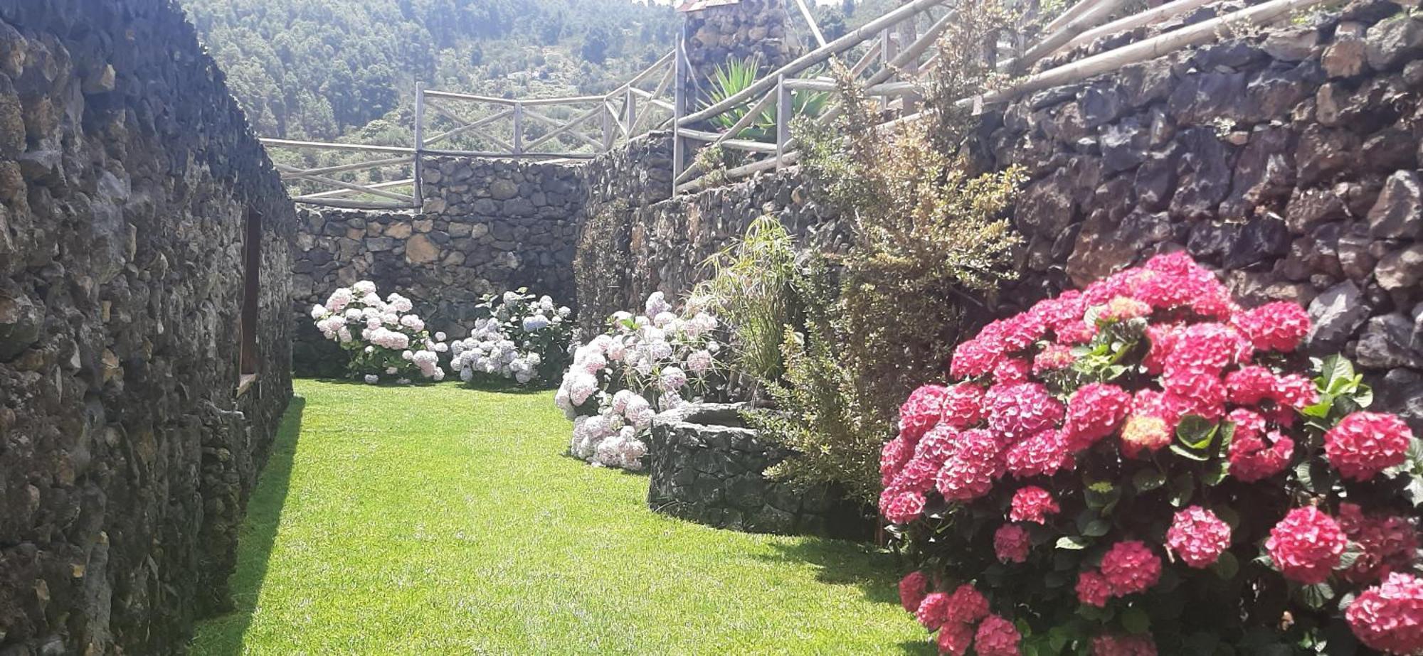 Casas Rurales Los Guinderos Icod De Los Vinos Esterno foto